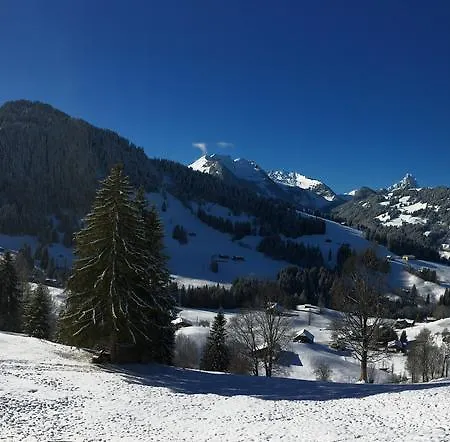 Chalet Gstaadblick Апартаменты *