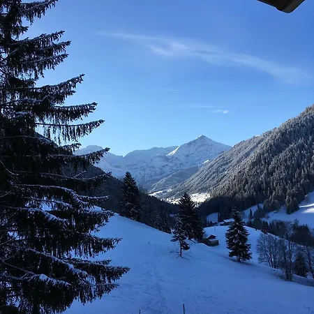 Chalet Gstaadblick Гштад